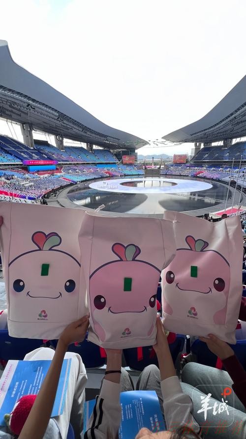 开云体育官网：全运广州直击！解锁限定福利和隐藏玩法