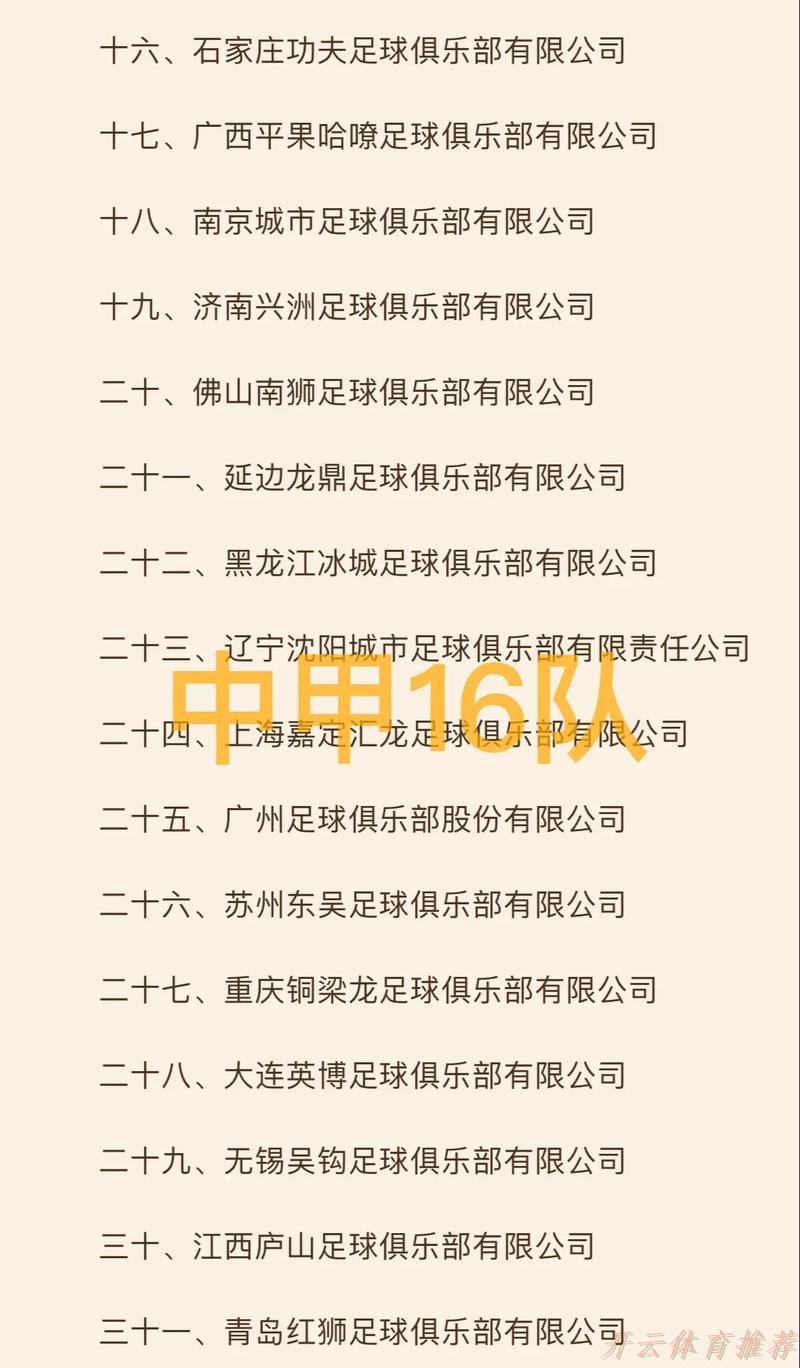 开云官方网站：共青团中国足球协会第一届委员会成立