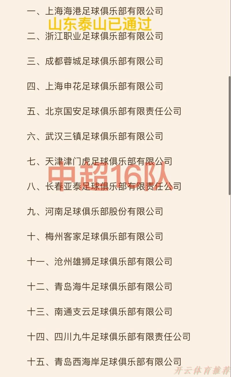 开云官方网站：共青团中国足球协会第一届委员会成立